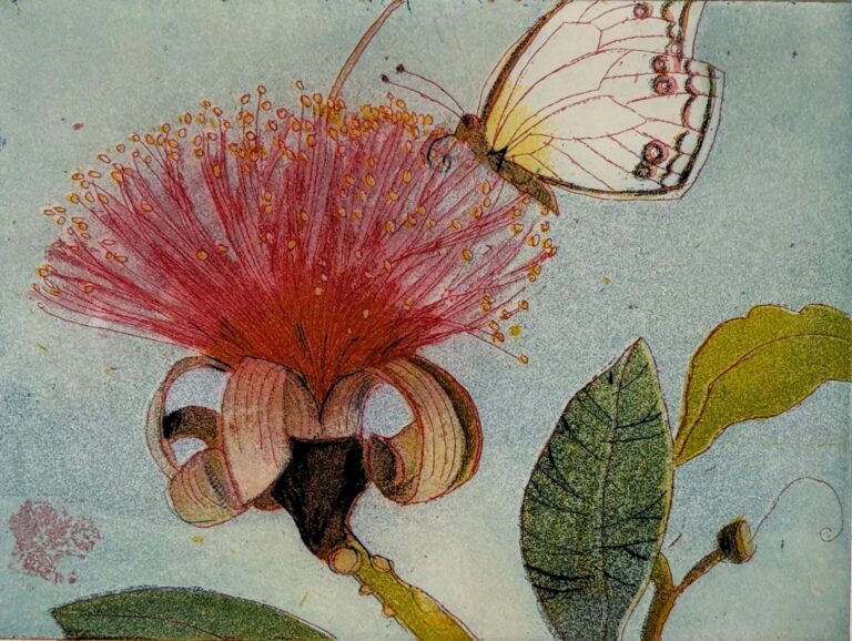 Naschender Schmetterling